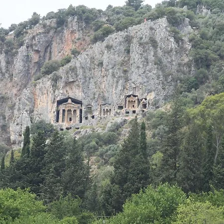 Palmyra ダルヤン